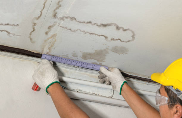 Reliable Basement Water Removal contractor in Jackson, WY by Water Damage Irwin
